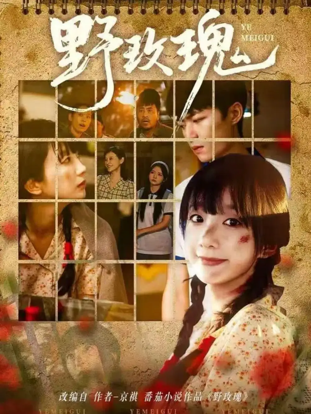 《野玫瑰(82集)》短剧全集免费在线看