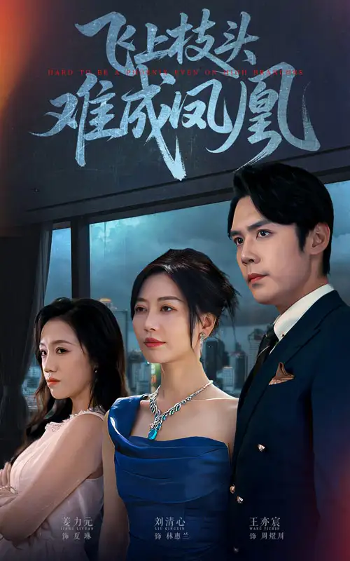 《飞上枝头难成凤凰(47集)》短剧全集免费在线看