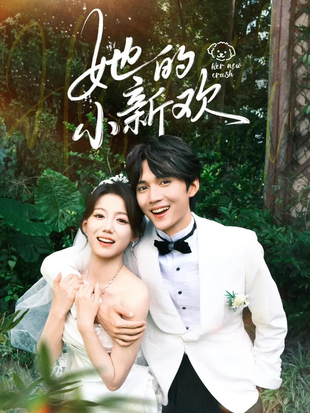 《她的小新欢（84集）》短剧全集免费在线看