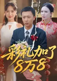 《彩礼加了8万8（54集）》短剧全集免费在线看