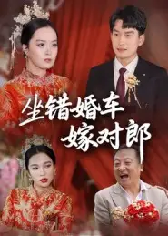 《坐错婚车嫁对郎（32集）钟俞&马皓》短剧全集免费在线看