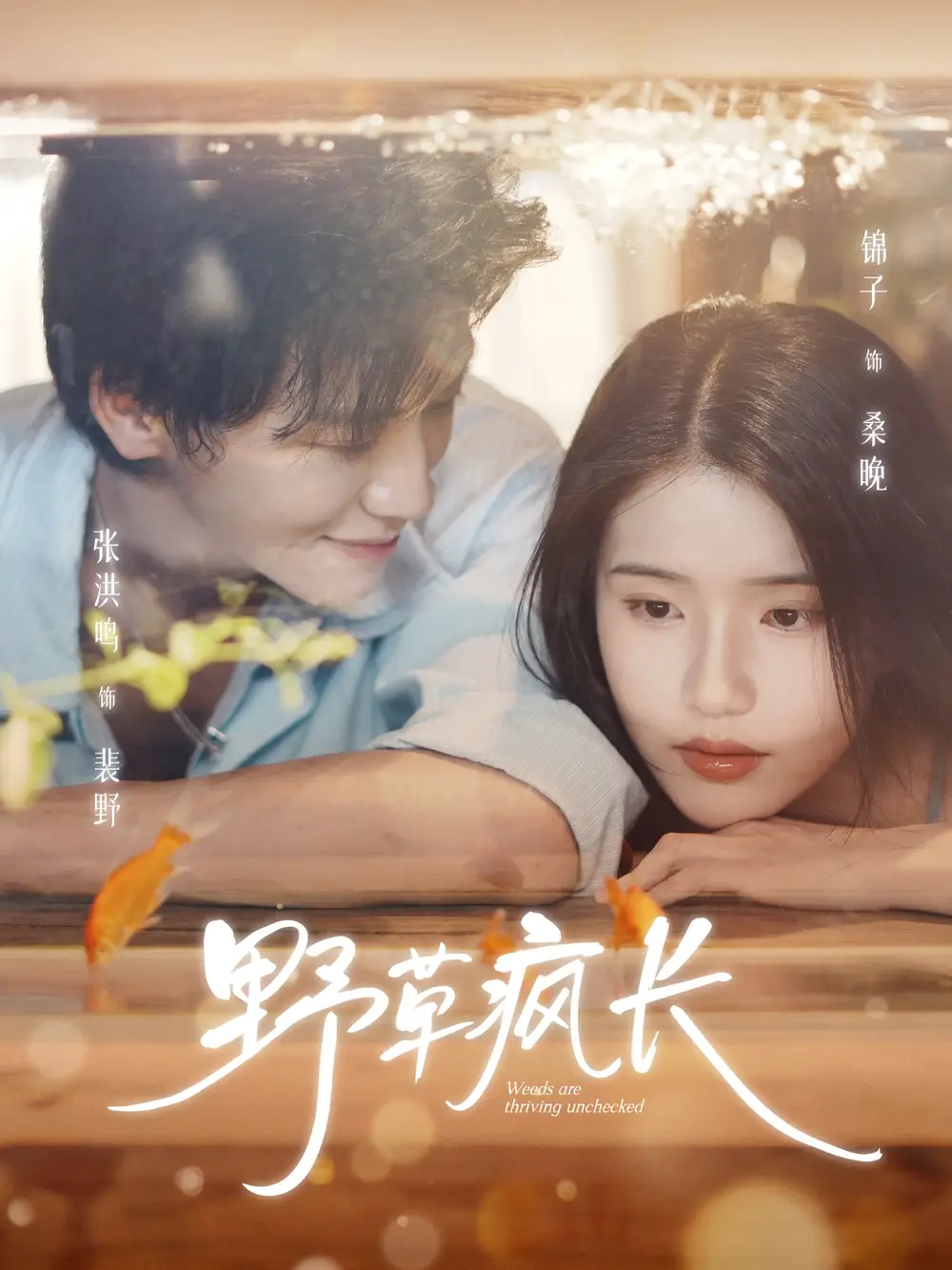 《野草疯长（71集）张洪鸣＆锦子》短剧全集免费在线看