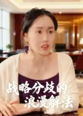 《战略分歧的浪漫解法（16集）》短剧全集免费在线看