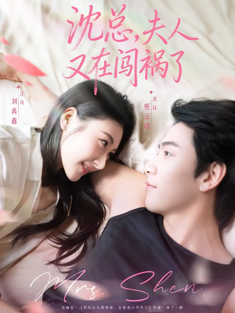 《沈总夫人又在闯祸了(79集)熊云皓&刘禹鑫》短剧全集免费在线看