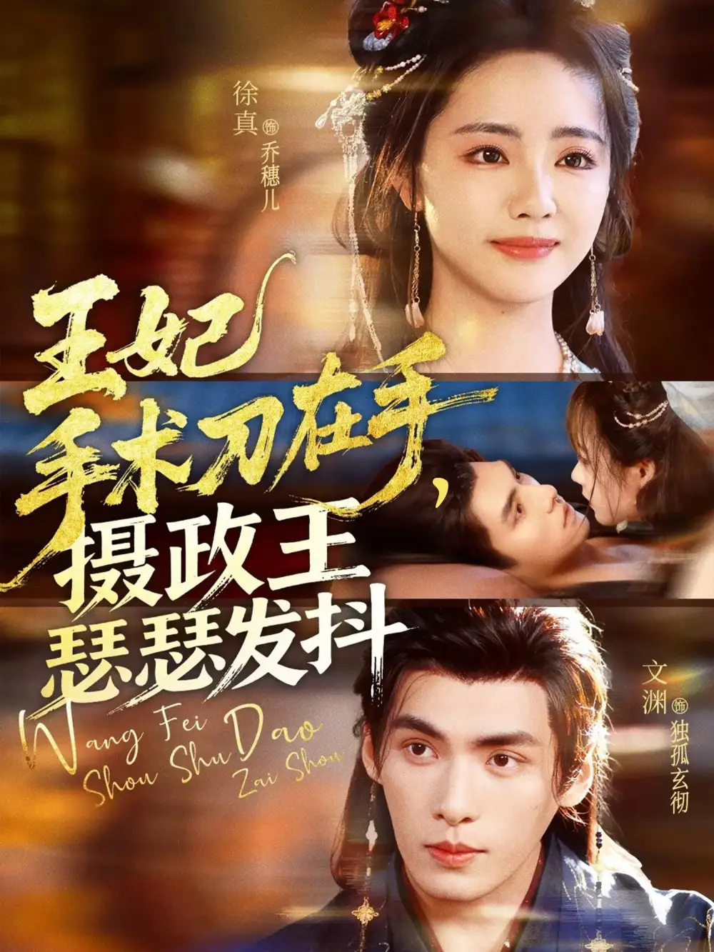 《王妃手术刀在手摄政王瑟瑟发抖（73集）徐真&文渊》短剧全集免费在线看