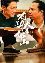 《有功夫来佛山（12集》短剧全集免费在线看