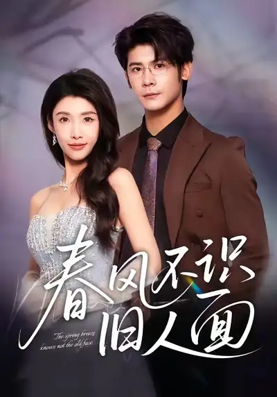 《春风不识旧人面（48集）》短剧全集免费在线看